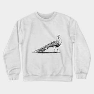 Black and White Peacock Print Crewneck Sweatshirt